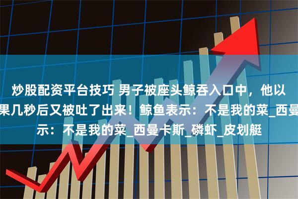 炒股配资平台技巧 男子被座头鲸吞入口中，他以为自己要死了，结果几秒后又被吐了出来！鲸鱼表示：不是我的菜_西曼卡斯_磷虾_皮划艇